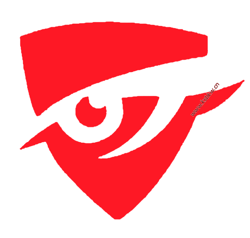 敏锐者网络科技